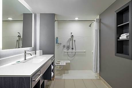 Suite, 1 Bedroom (1 King Bed and 1 Double Sofa Bed)