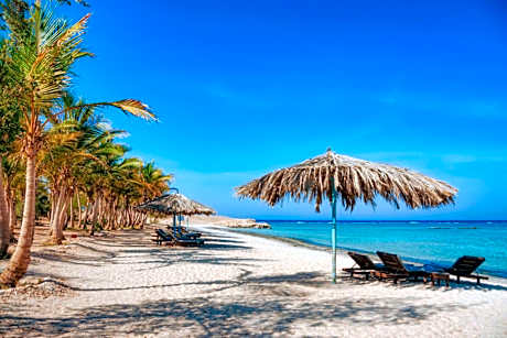 Mangrove Bay Resort