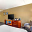 Comfort Inn & Suites Logan International Airport