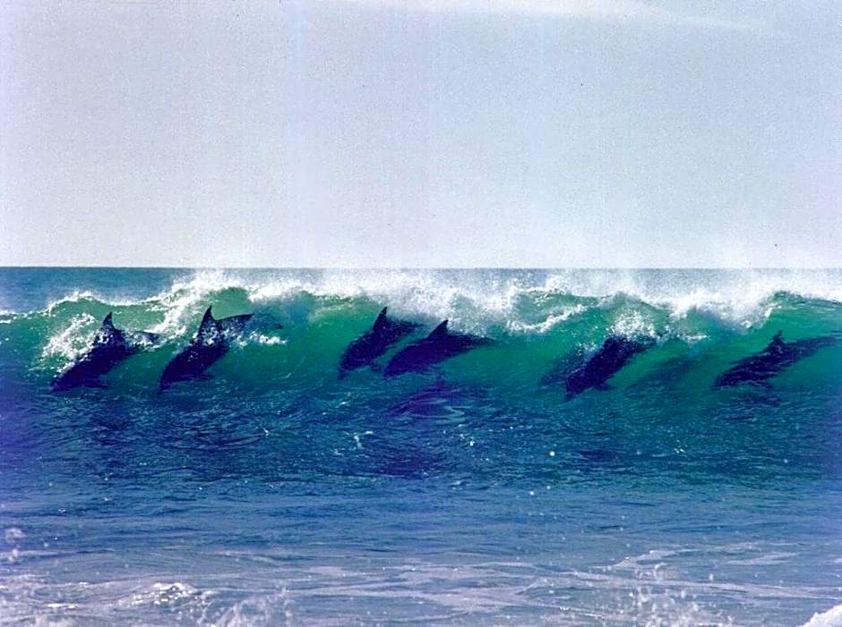 Diaz 15 House on the Bay