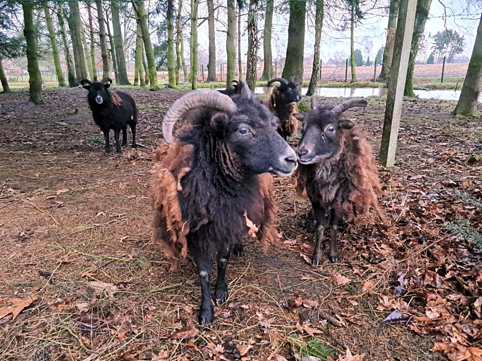 Parkhoeve Glamping