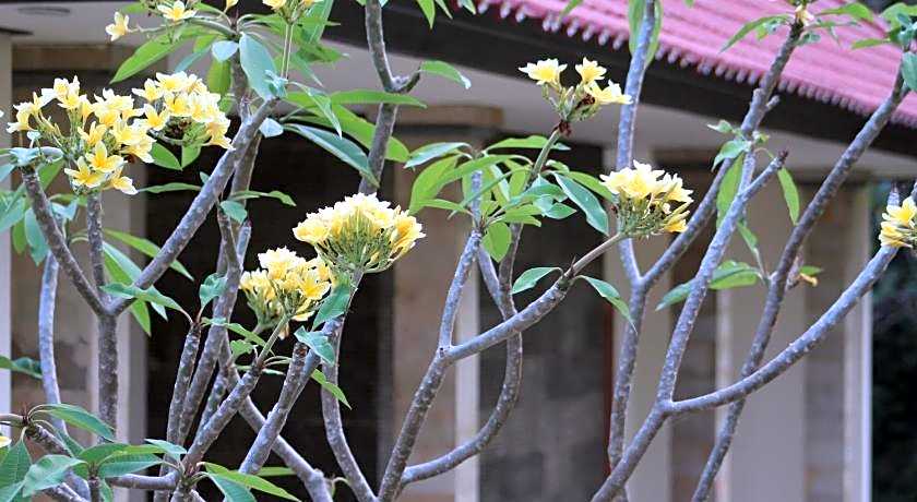 Lala Home Stay