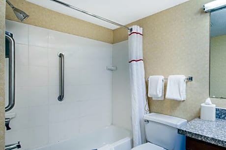 Hawthorn Suites By Wyndham Holland/Toledo Area