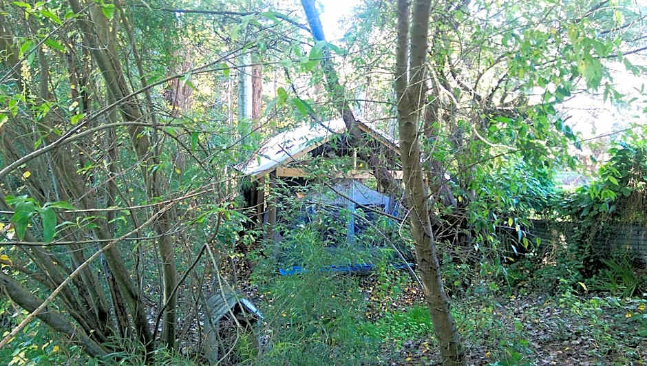 Black Cockatoo Lodge