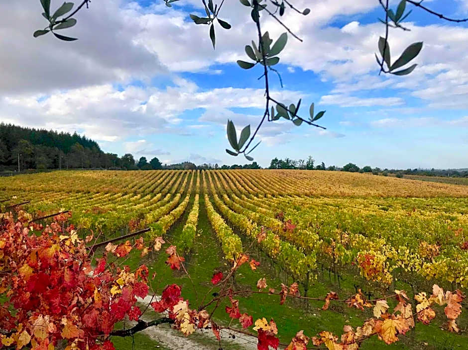 Madre de Água Hotel Rural de Charme