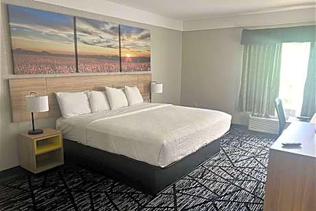 1 King Bed Smoking