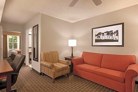 One-Bedroom King Suite - Non-Smoking