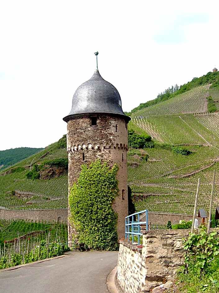 Ratskeller – Zell (Mosel)