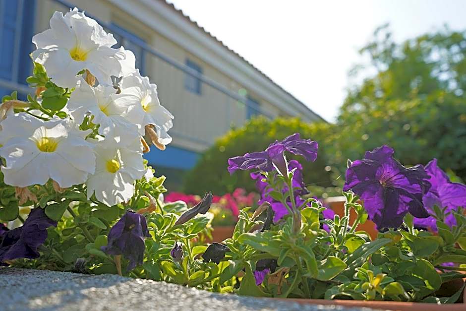 Green Bungalows Hotel Apartments