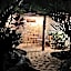 Roots Tree House