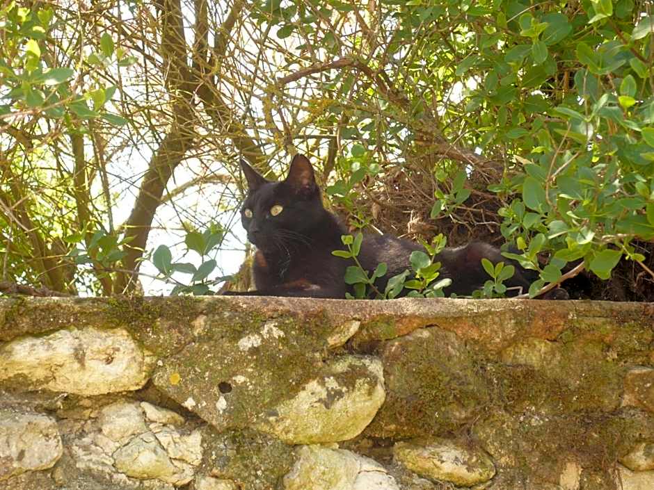 Le Pigeonnier du Perron Hôtel