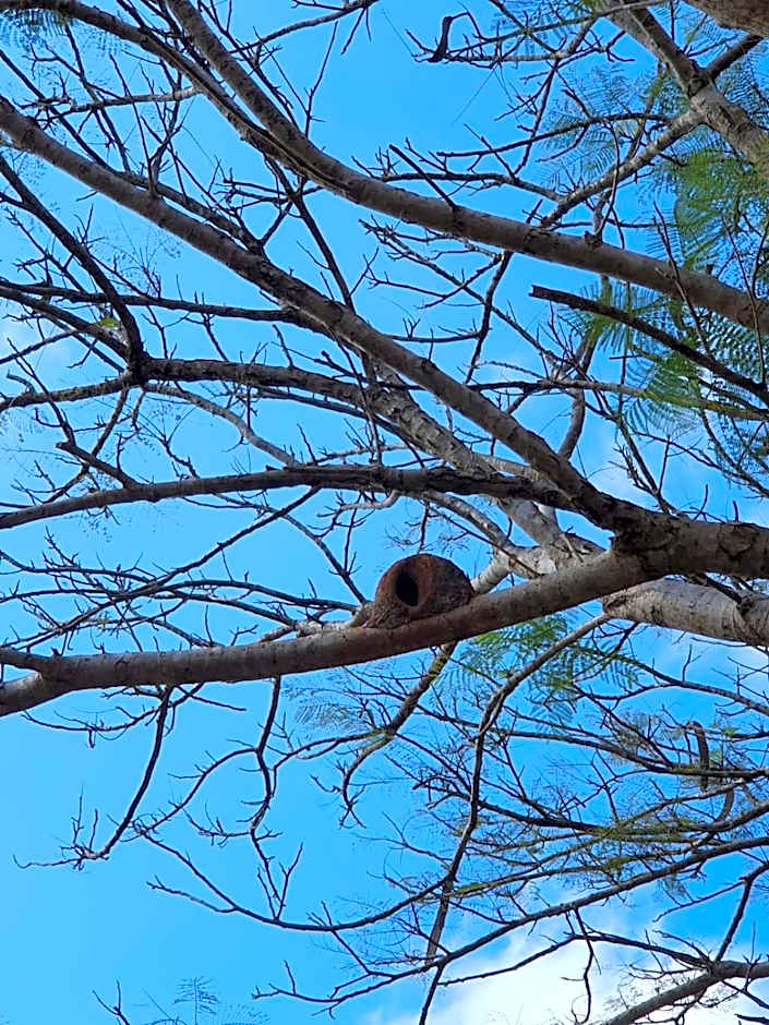 Pousada Recanto dos Leões
