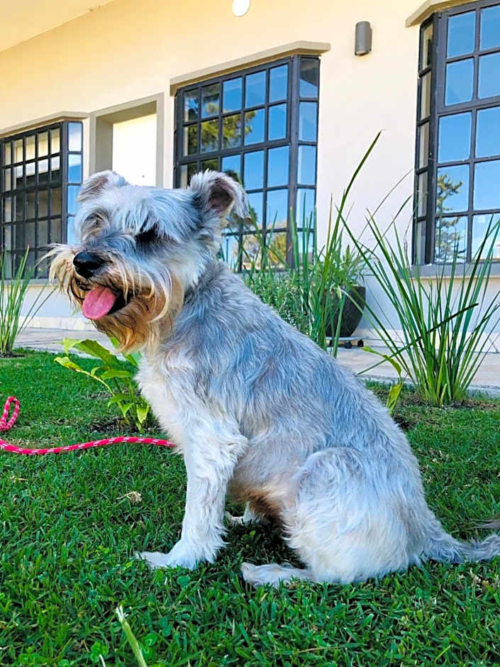 Hotel Rocaval San Cristóbal de las Casas