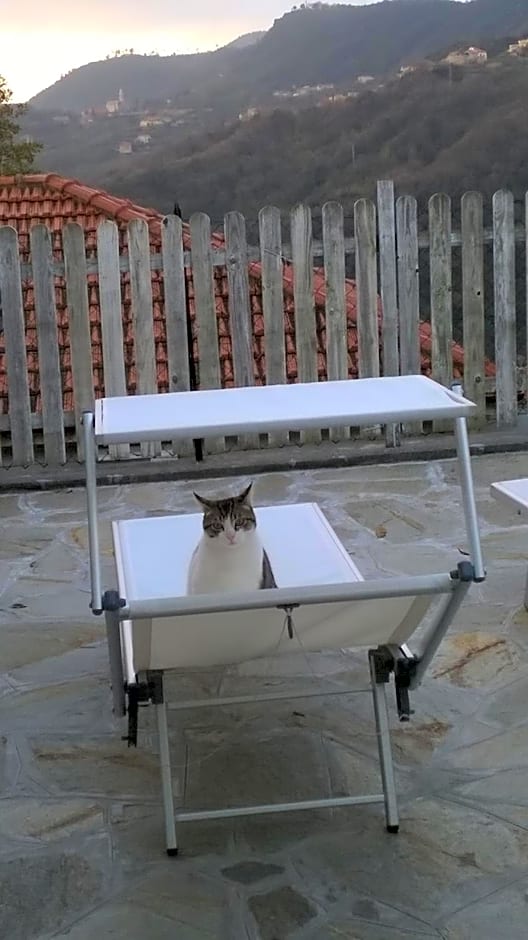 B&B Elfo degli Ulivi