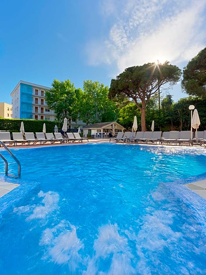 H10 Delfín - Adults Only