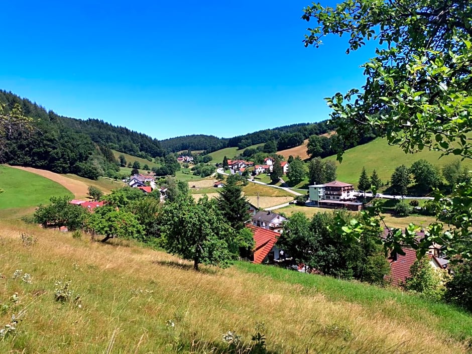 Hotel Grüner Baum mit Restaurant & Wellness