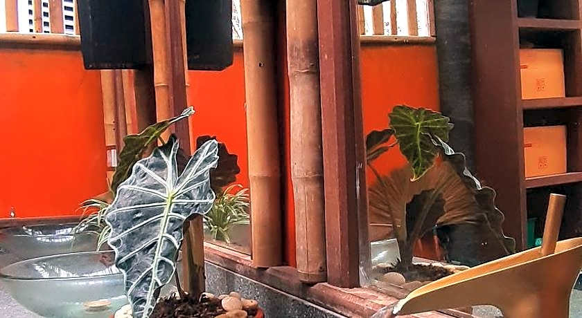 Aha Lanta Cozy Hostel