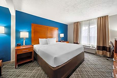 1 King Bed Nonsmoking Accessible
