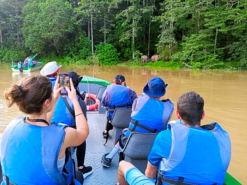 Borneo Jungle Adventure