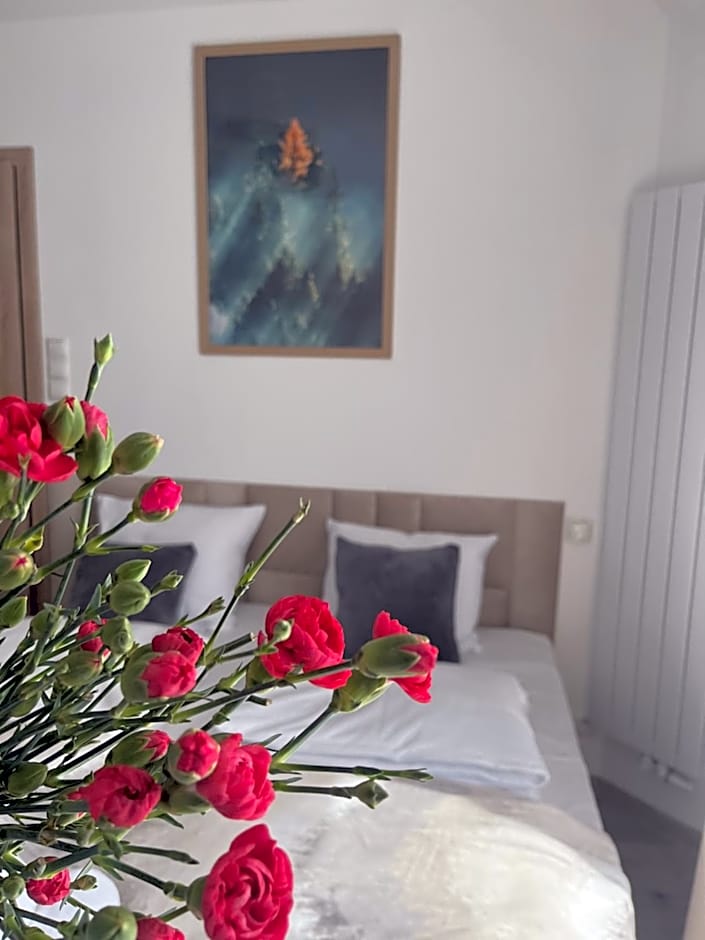 Karkonoskie Widoki Apartamenty