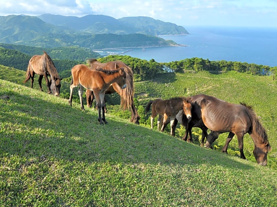 APA Hotel Miyazaki Nobeoka-Ekiminami