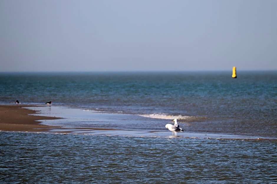 Little Creek - Lodges in het natuurgebied