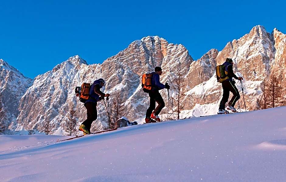 Aparthotel DAS Hochkönig