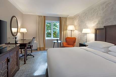 Superior Room, 1 King Bed