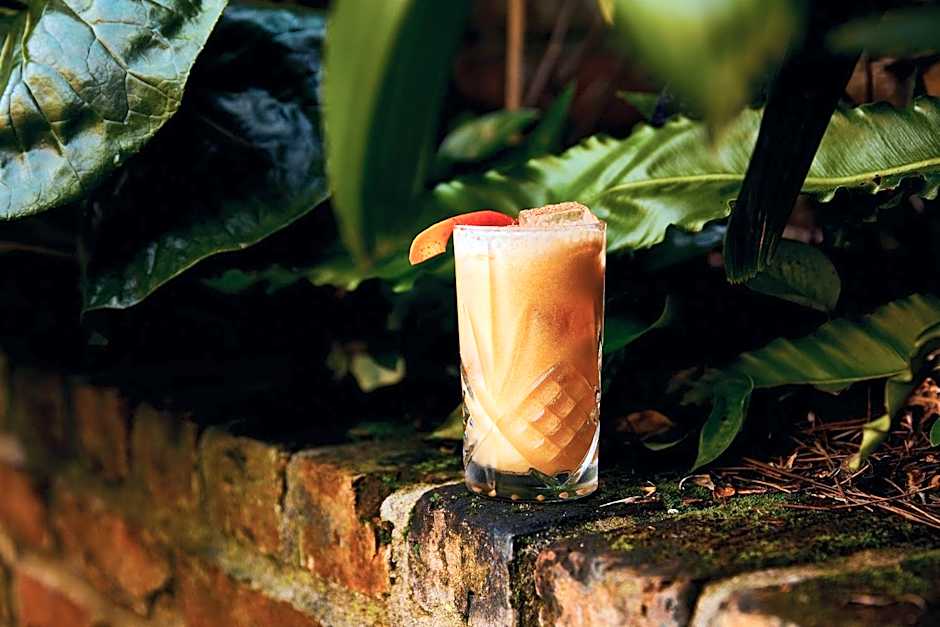 Kimpton Hotel Fontenot By IHG