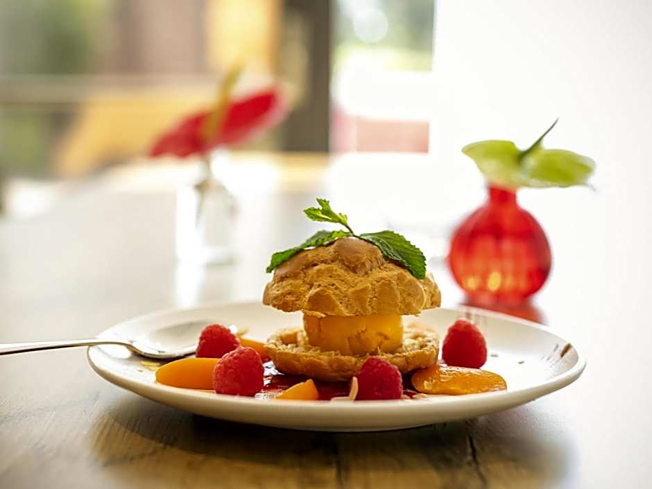 ibis Montpellier Sud