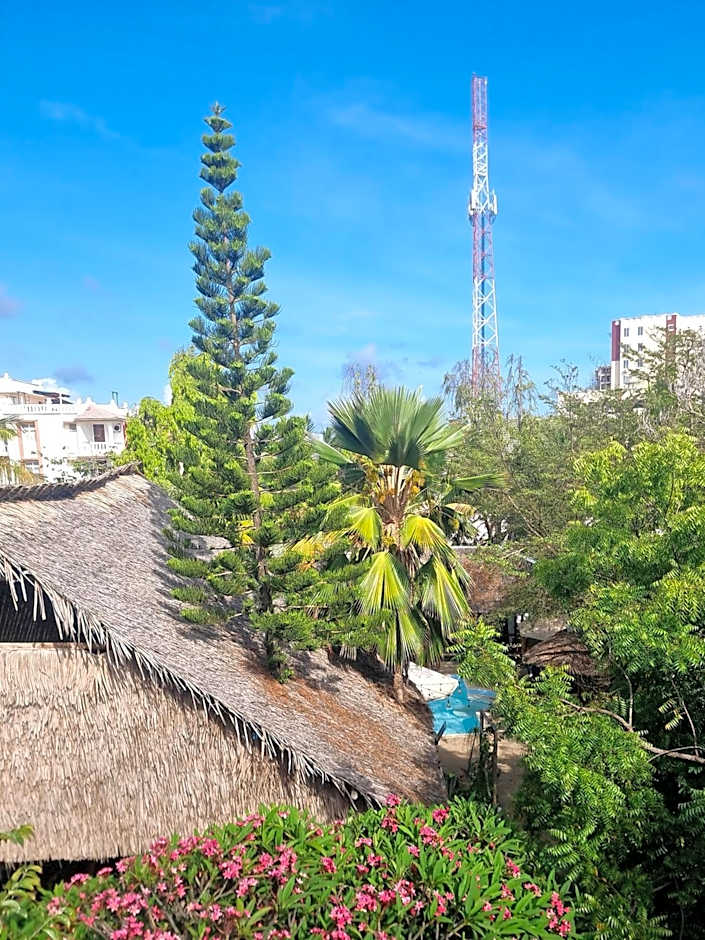 Tulia House Backpackers