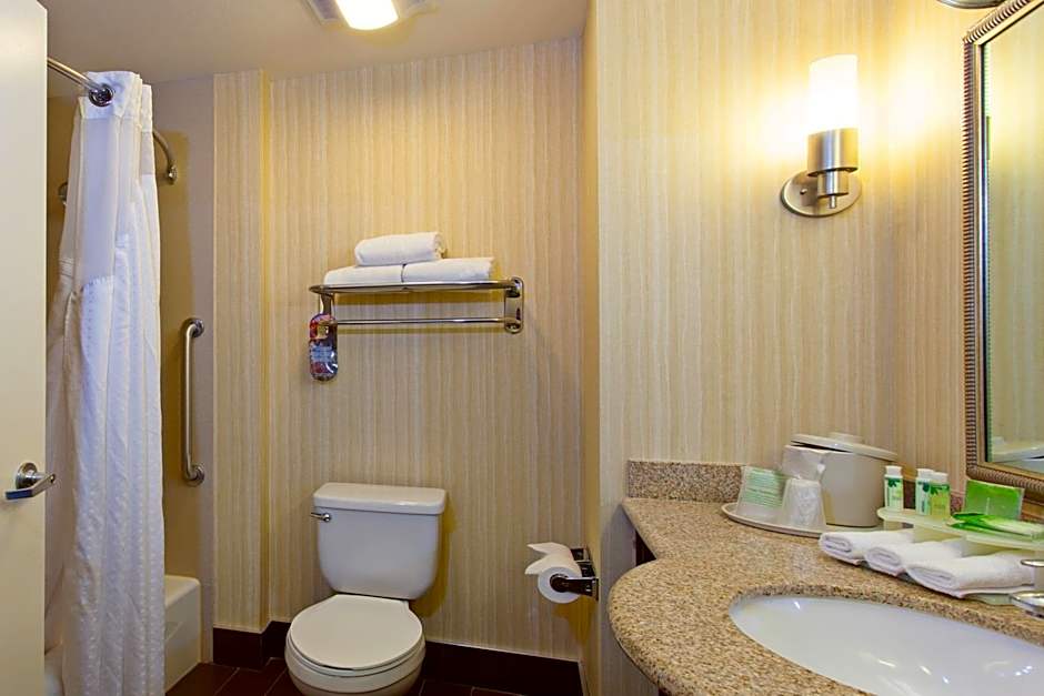 Holiday Inn Express Hotel & Suites Twentynine Palms By IHG