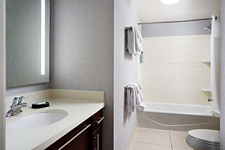 Room, 1 Bedroom, Corner (Hearing Accessible) (1 King Bed and 1 Double Sofa Bed)