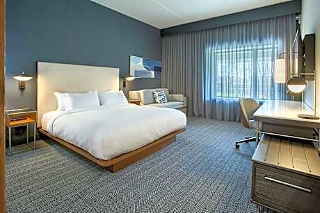 Guest Room 1 King, Sofa bed