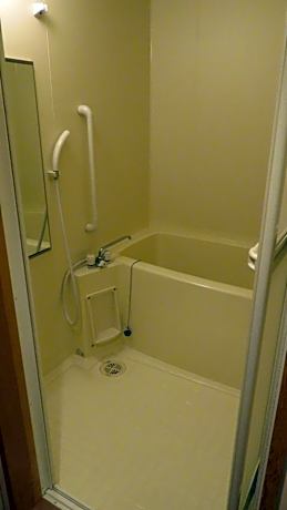 Japanese Style Room - Annex