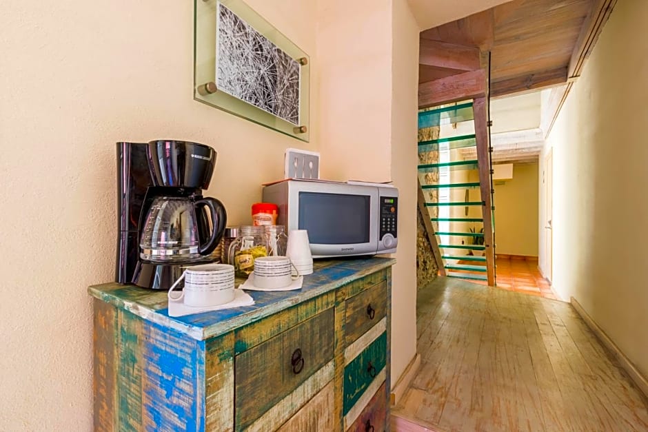 Hotel Damiana Boutique