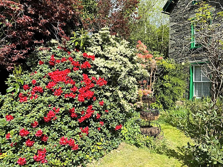 Elim House - Adults Only