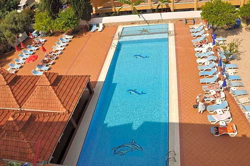 Hotel Catty Cats Garden