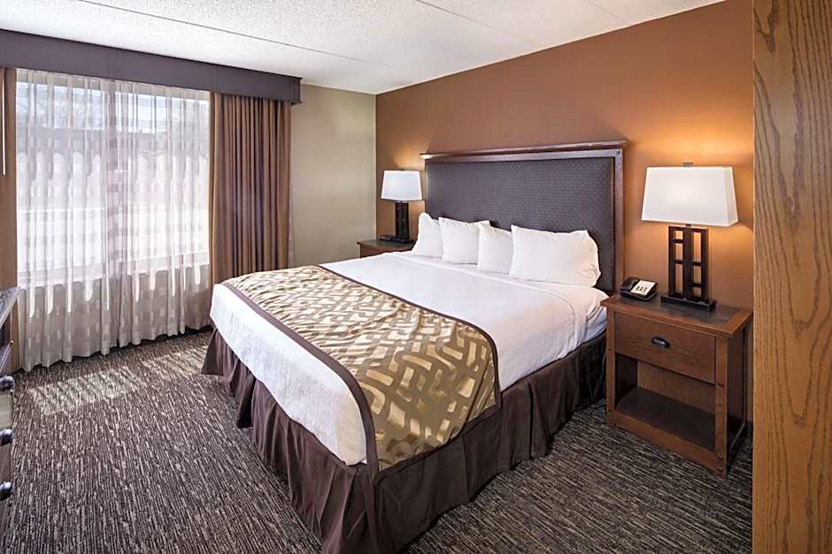 Best Western Ramkota Hotel