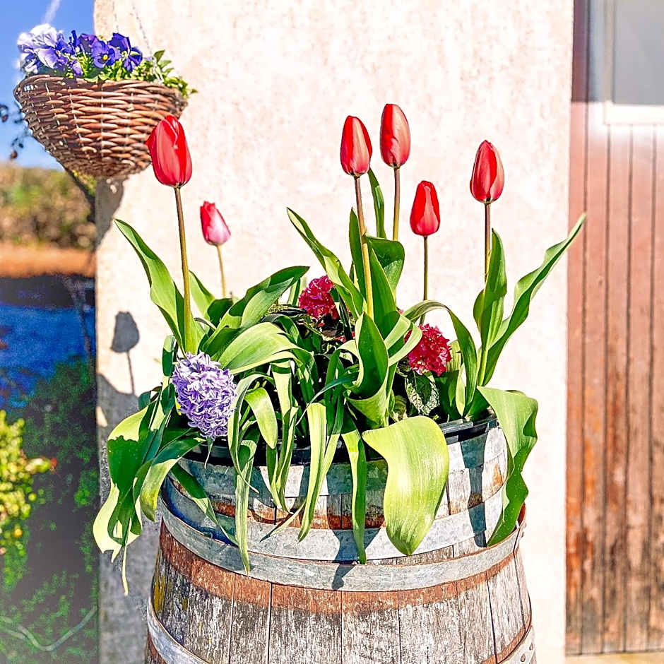 Silent Valley Bed & Breakfast