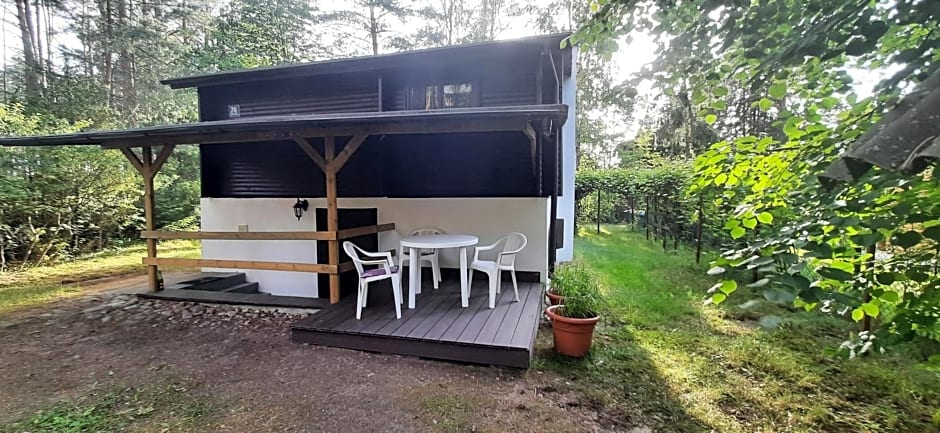 BORY TUCHOLSKIE SKÓRZENNO KO¿O OSIEKA