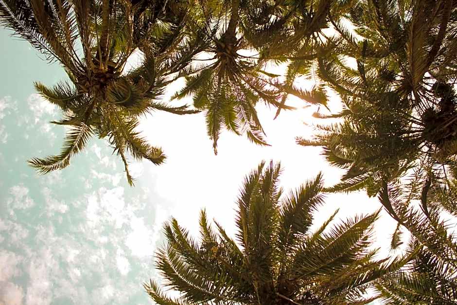 Umtamvuna River Lodge