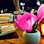 Hotel Evripides