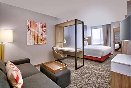 King Suite with Roll-In Shower and Trundle Sofa - Mobility Access/Hearing Accessible