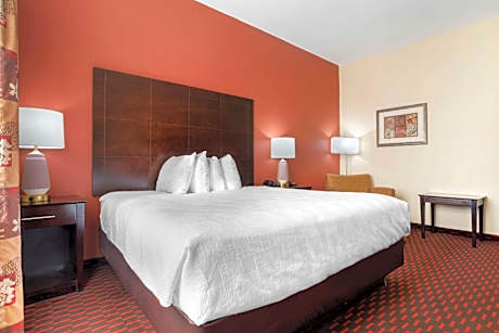 King Suite with One King Bed - Non-Smoking