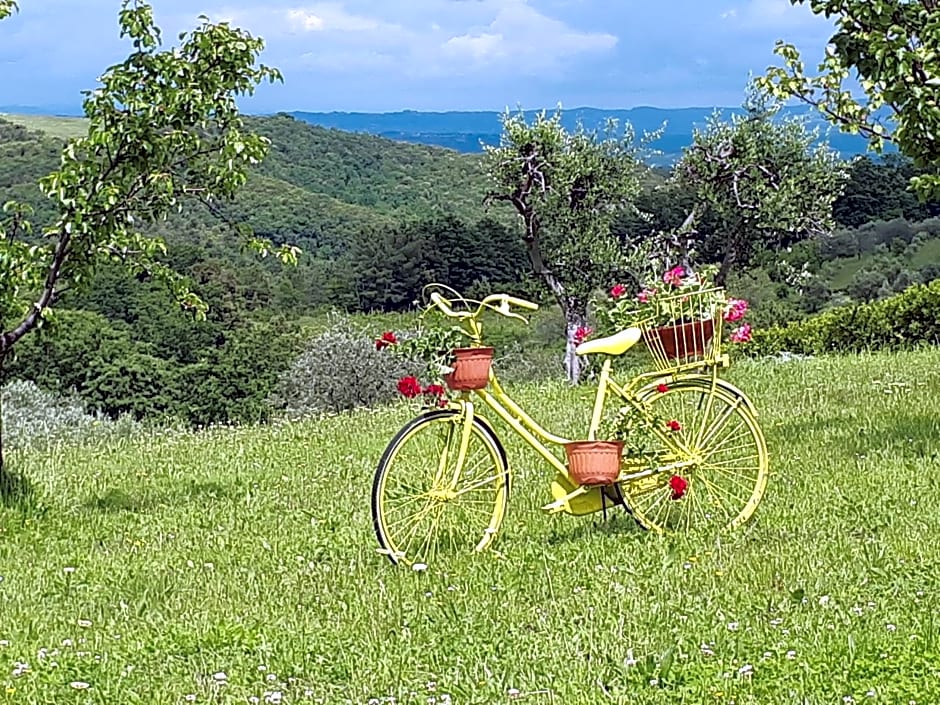 Podere "la svolta"