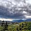 Agritur La Fenice