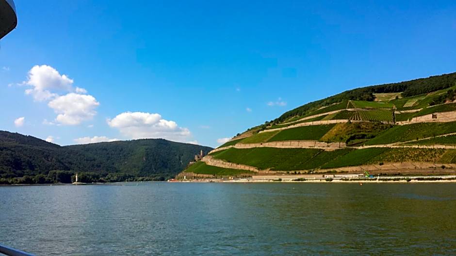 Hotel Krone Rüdesheim