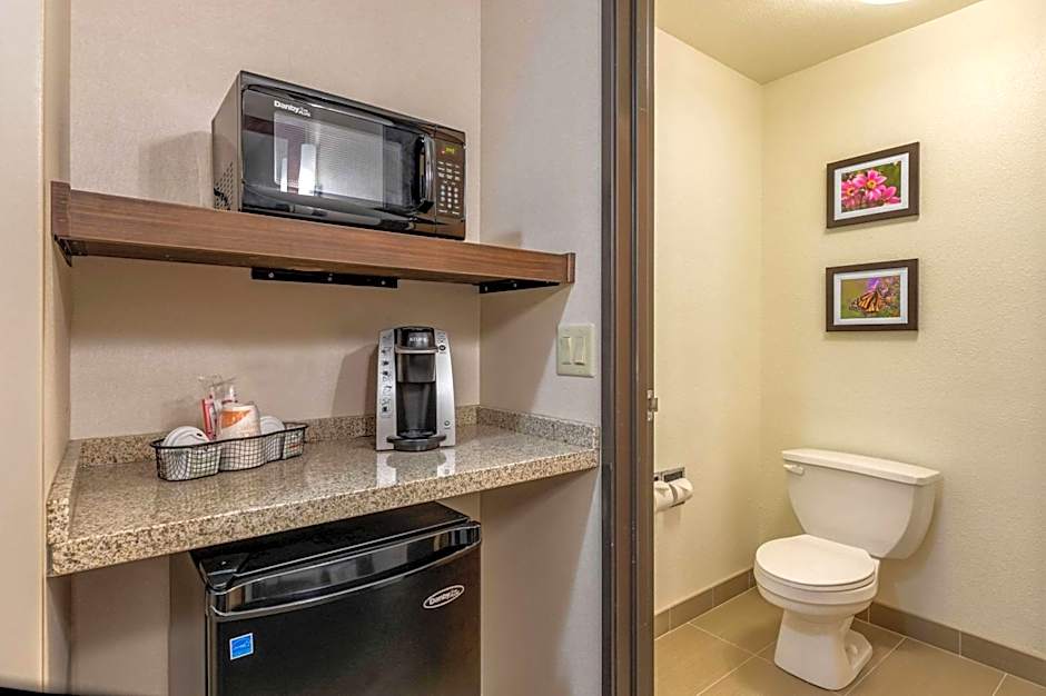 Comfort Inn & Suites near Route 66