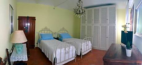 Double or Twin Room with Garden View